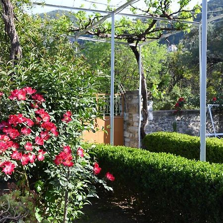 Art Flowers And Culture Mistras Exterior foto