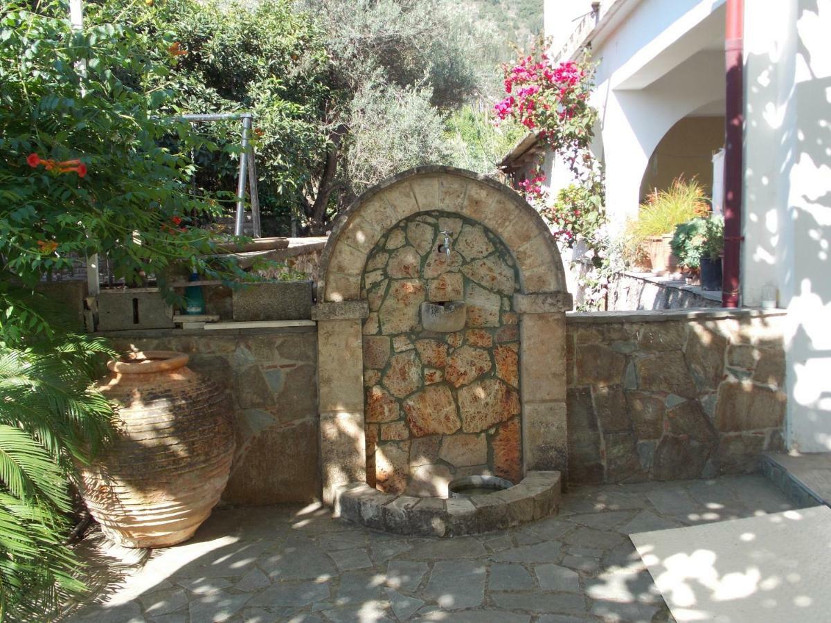 Art Flowers And Culture Mistras Exterior foto