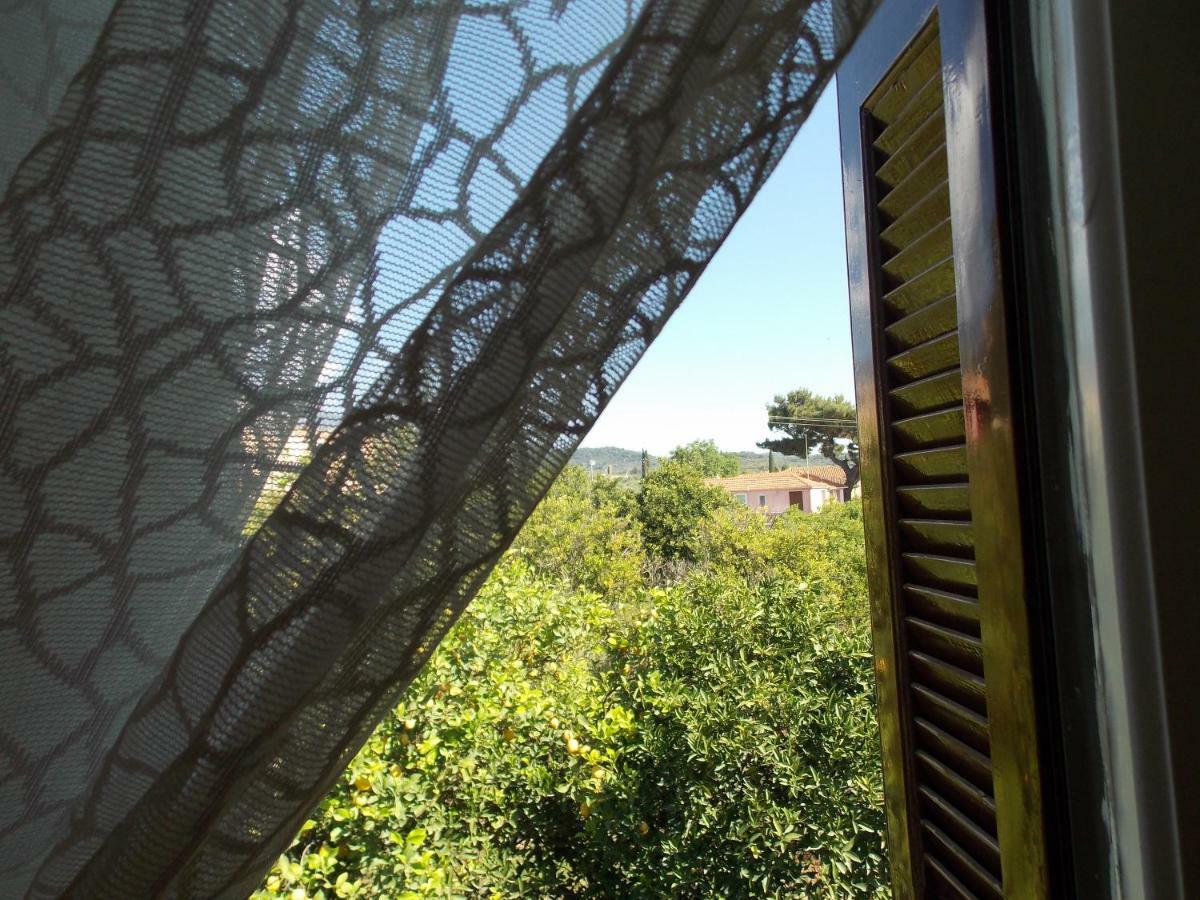 Art Flowers And Culture Mistras Exterior foto