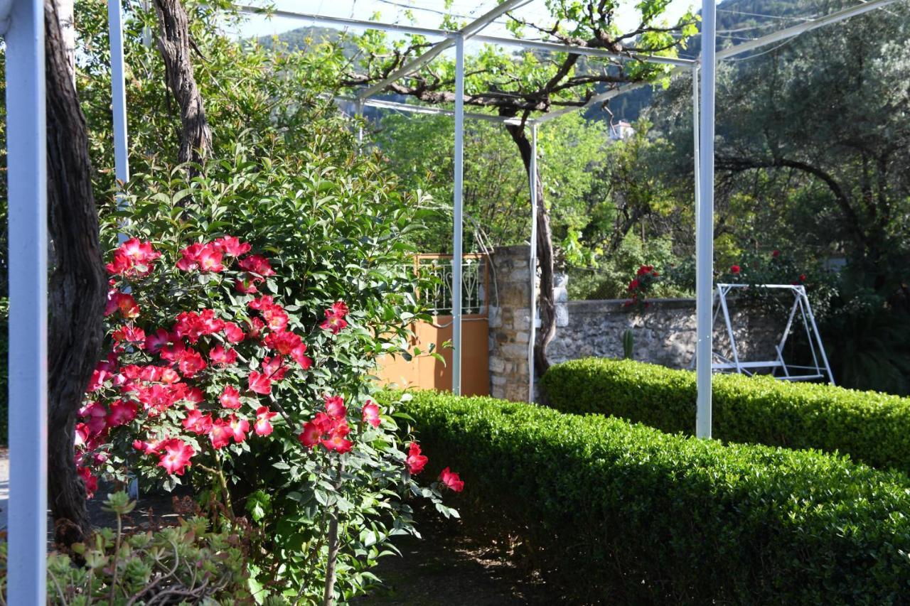 Art Flowers And Culture Mistras Exterior foto